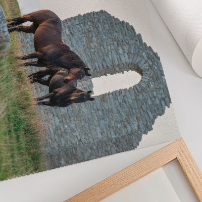 Decorative canvas print The contrast of ruins and horses in the greenery