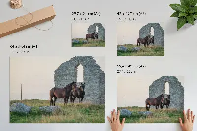 Decorative canvas print featuring a contrast of ruins and horses in the greenery