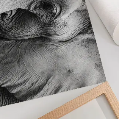 Elephant poster minimalist monochrome detail design