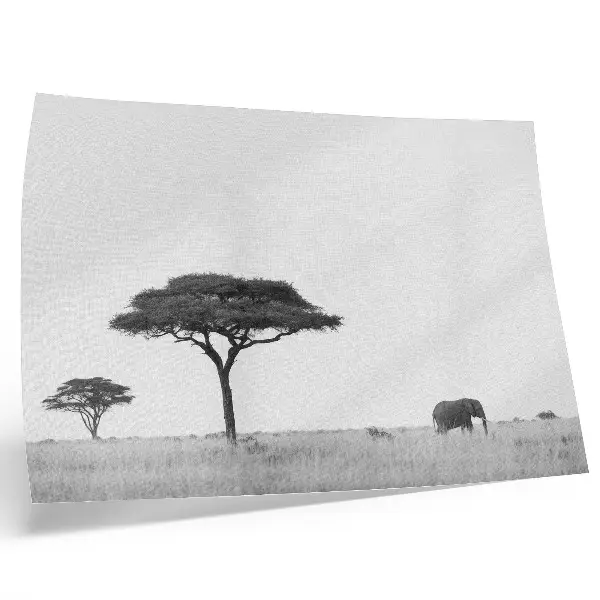 Photo canvas elephant and acacias on the savannah in a subtle color palette