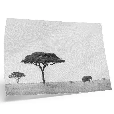 Photo canvas elephant and acacias on the savannah in a subtle color palette