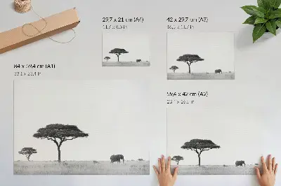 Photo canvas elephant and acacias on the savannah in a subtle color palette