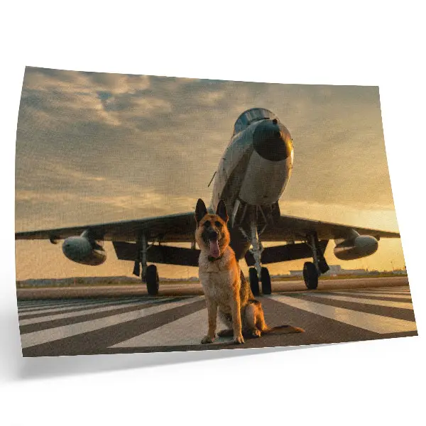 Decorative canvas print dog and plane in the sunset artwork