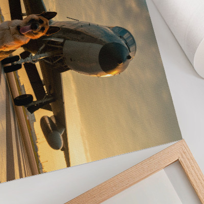 Decorative canvas print Dog and plane in the sunset - a unique sight