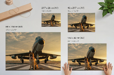 Decorative canvas print Dog and plane in the sunset - a unique sight