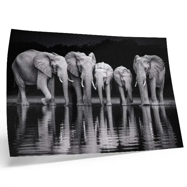 Elephant poster peaceful harmony and reflection by the water