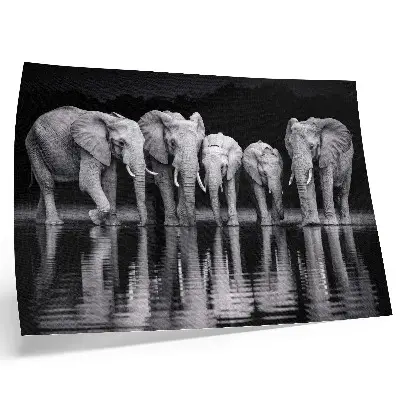 Elephant poster peaceful harmony and reflection by the water
