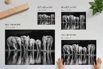 Elephant poster peaceful harmony and reflection by the water