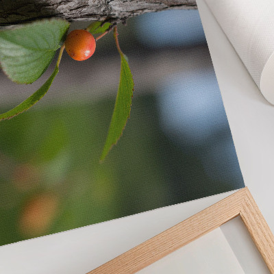 Poster Orange fruit green leaves brown bark