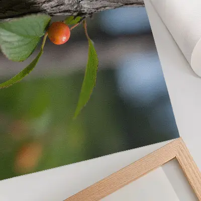 Poster orange fruit with green leaves and brown bark