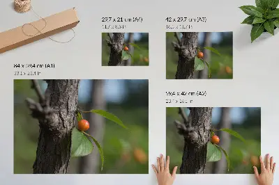 Poster orange fruit with green leaves and brown bark