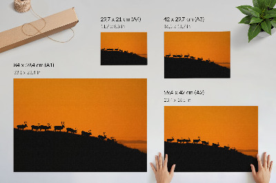 Photo canvas Silhouettes of deer on a hill with an orange background