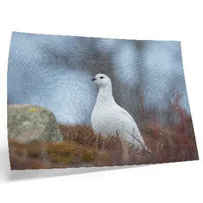 White bird in a winter setting poster white bird in a winter setting