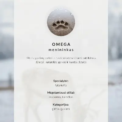 White bird in a winter setting poster white bird in a winter setting