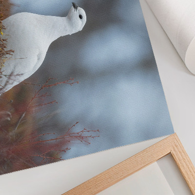 Poster A white bird in a winter setting
