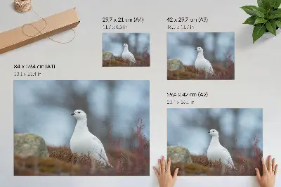 White bird in a winter setting poster white bird in a winter setting
