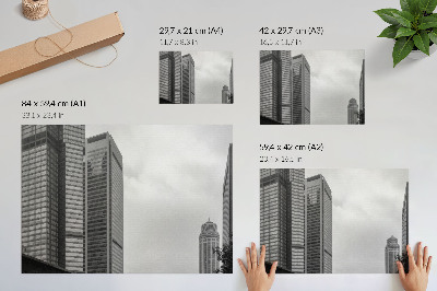 Photo canvas Monochromatic modern city skyscrapers