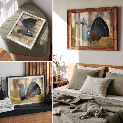Photo canvas Beautiful bird in the forest, spreading tail, color