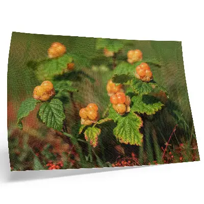 Decorative canvas print with green leaves and orange fruits natural charm
