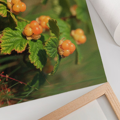 Decorative canvas print Green leaves orange fruits natural charm