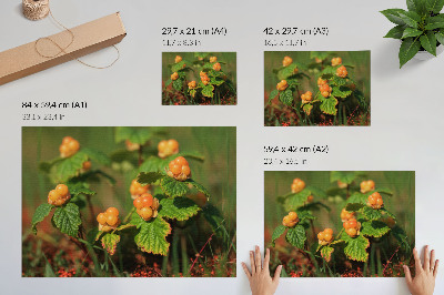 Decorative canvas print Green leaves orange fruits natural charm