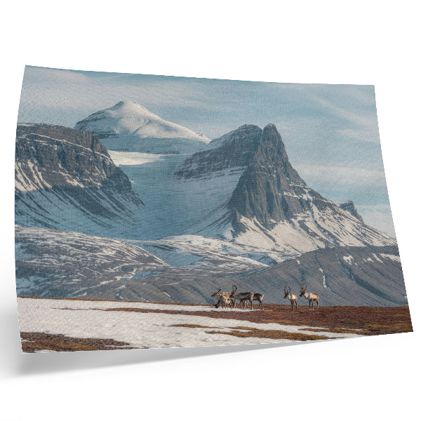 Photo canvas Picturesque mountains reindeer peace winter landscape