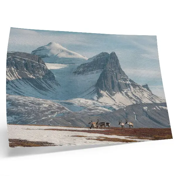 Photo canvas picturesque winter mountain landscape with reindeer