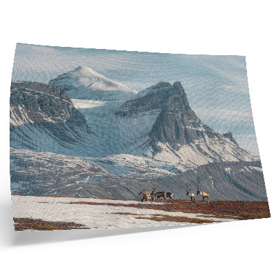 Photo canvas Picturesque mountains reindeer peace winter landscape