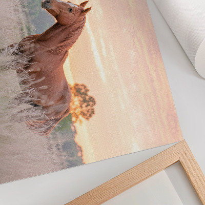 Poster Horse in the meadow in the morning, pastel colors, relaxation