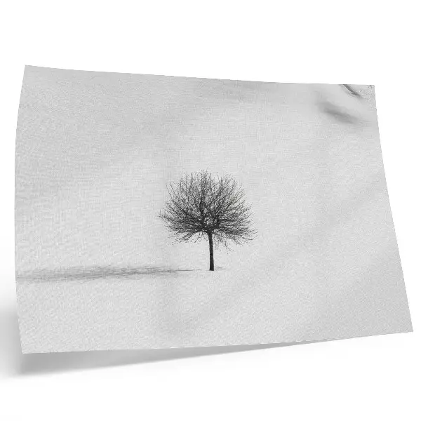 Decorative canvas print featuring a minimalist winter tree landscape in a harmony motif