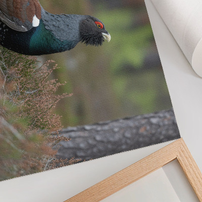 Poster Bird colors forest nature peaceful atmosphere