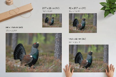 Poster Bird colors forest nature peaceful atmosphere