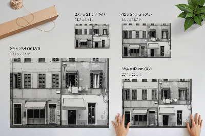 Photo canvas The facade of the tenement house, the contrast of black and white, minimalism