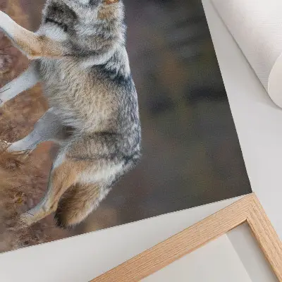 Decorative canvas print featuring a wolf in motion against a wild nature landscape