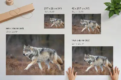 Decorative canvas print featuring a wolf in motion against a wild nature landscape