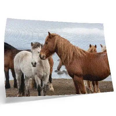 Poster the natural beauty of horses against a landscape backdrop