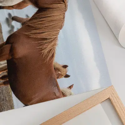Poster the natural beauty of horses against a landscape backdrop