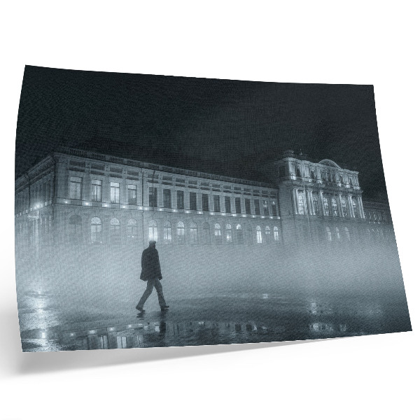 Photo canvas Night city fog monumental building