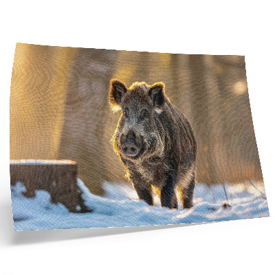 Decorative canvas print A wild boar on a winter background surrounded by sunlight