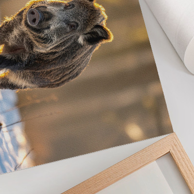 Decorative canvas print A wild boar on a winter background surrounded by sunlight