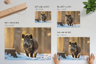 Decorative canvas print A wild boar on a winter background surrounded by sunlight
