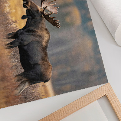Decorative canvas print Moose autumn landscape harmony wildness nature