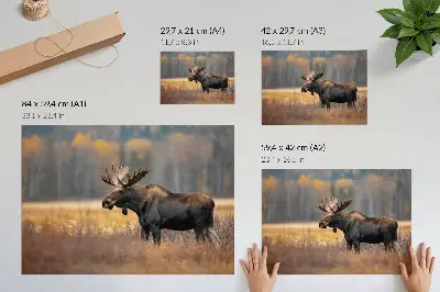 Decorative canvas print featuring a moose in an autumn landscape