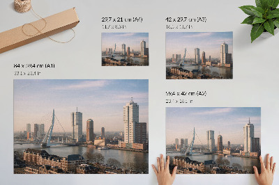 Photo canvas Impressive skyscrapers and an elegant bridge over the river