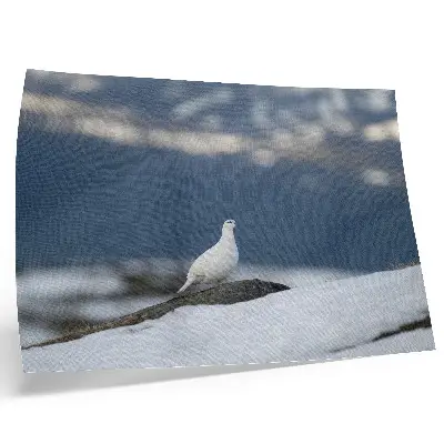 Decorative canvas print bird in the snow winter landscape