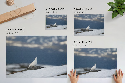 Decorative canvas print Bird in the snow winter landscape gentleness