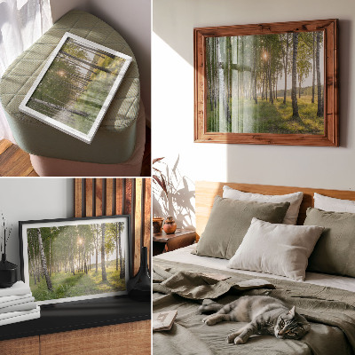 Decorative canvas print Birch forest sun rays symmetry green