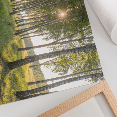 Decorative canvas print Birch forest sun rays symmetry green
