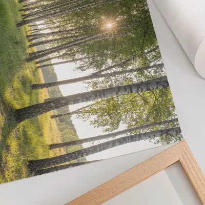Decorative canvas print birch forest with sun rays in symmetry and green tones