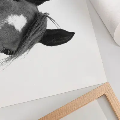 Horse photography poster black and white elegance